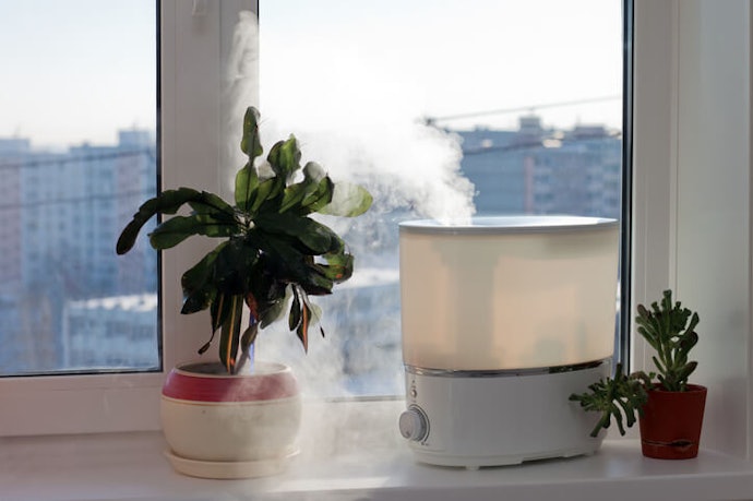 Tips to Keep Your Portable Humidifier Clean