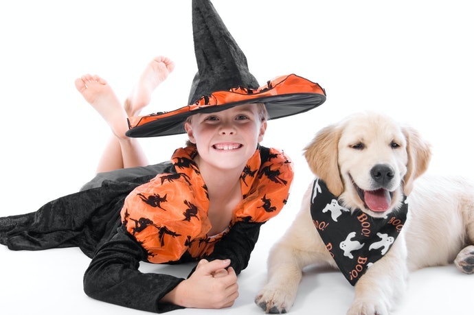 More Products for a Spooky Halloween!