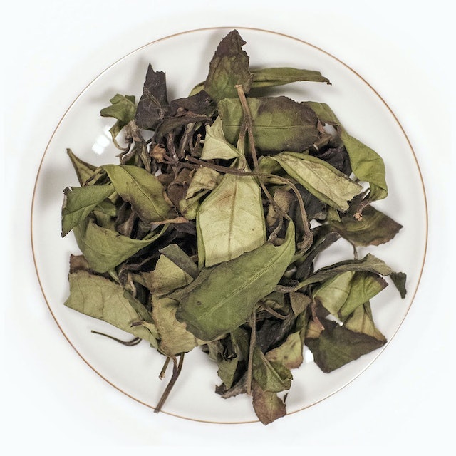 Kate's Recommended White Tea