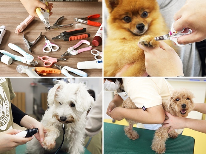 How We Tested the Nail Clippers