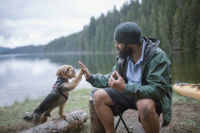 Consider Other Types of Dog Books