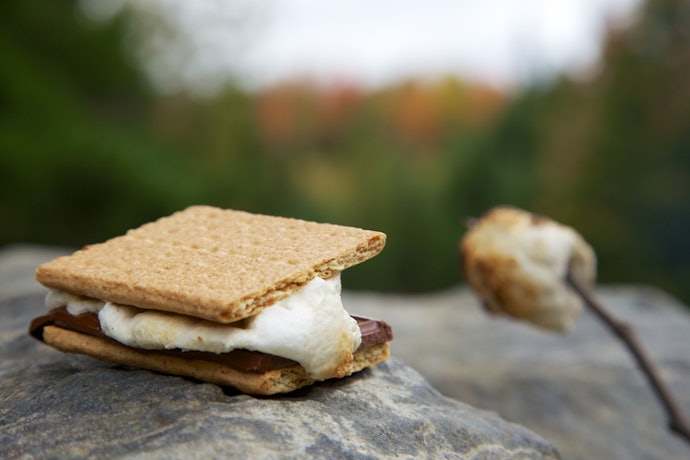 Vegan Graham Crackers: Recipes, Uses, and More