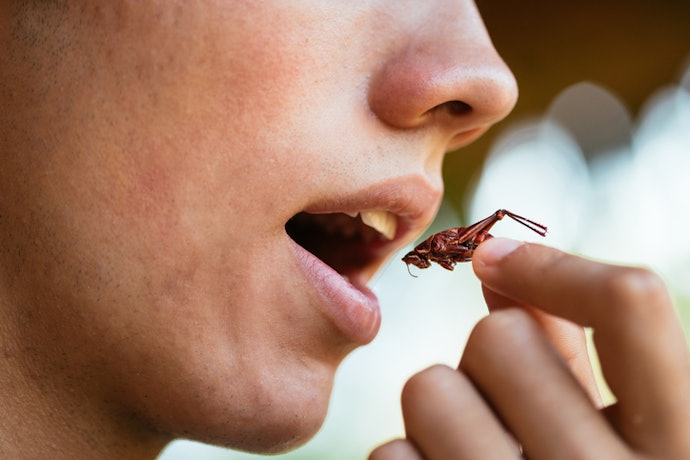 Potential Health Benefits and Considerations
