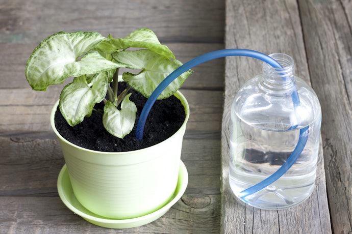 Why Use a Self-Watering Planter?