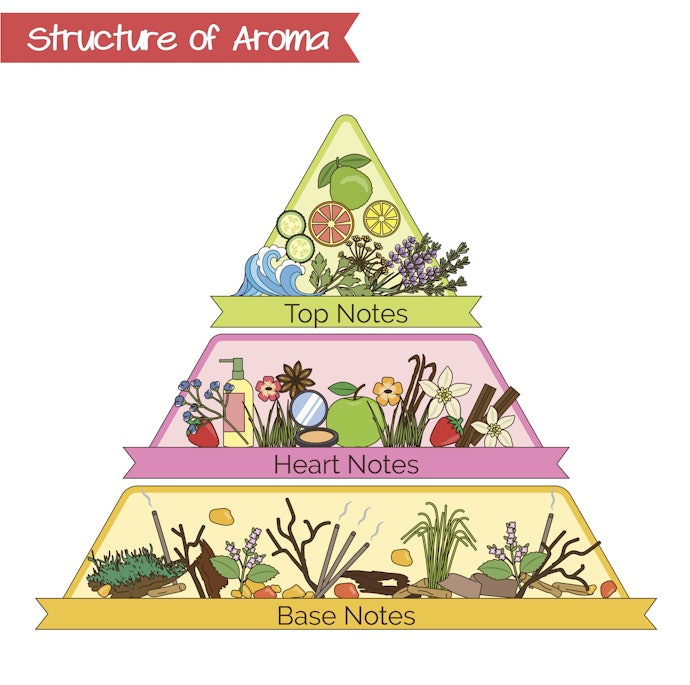 Understanding Fragrance Notes
