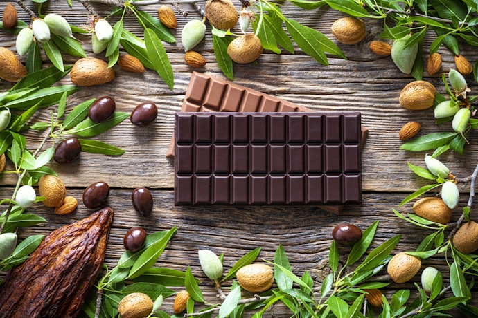 Vegan vs. Regular Chocolate