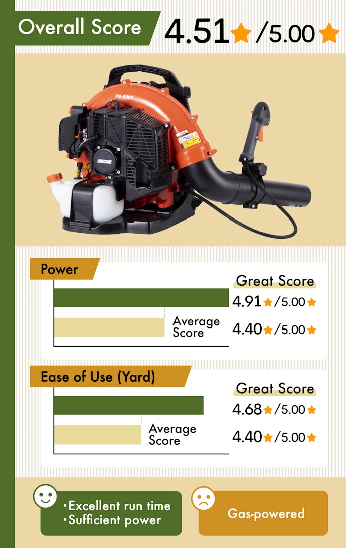 Best Gas-Powered Leaf Blower for the Backyard: Echo PB-580T Gas Leaf Blower