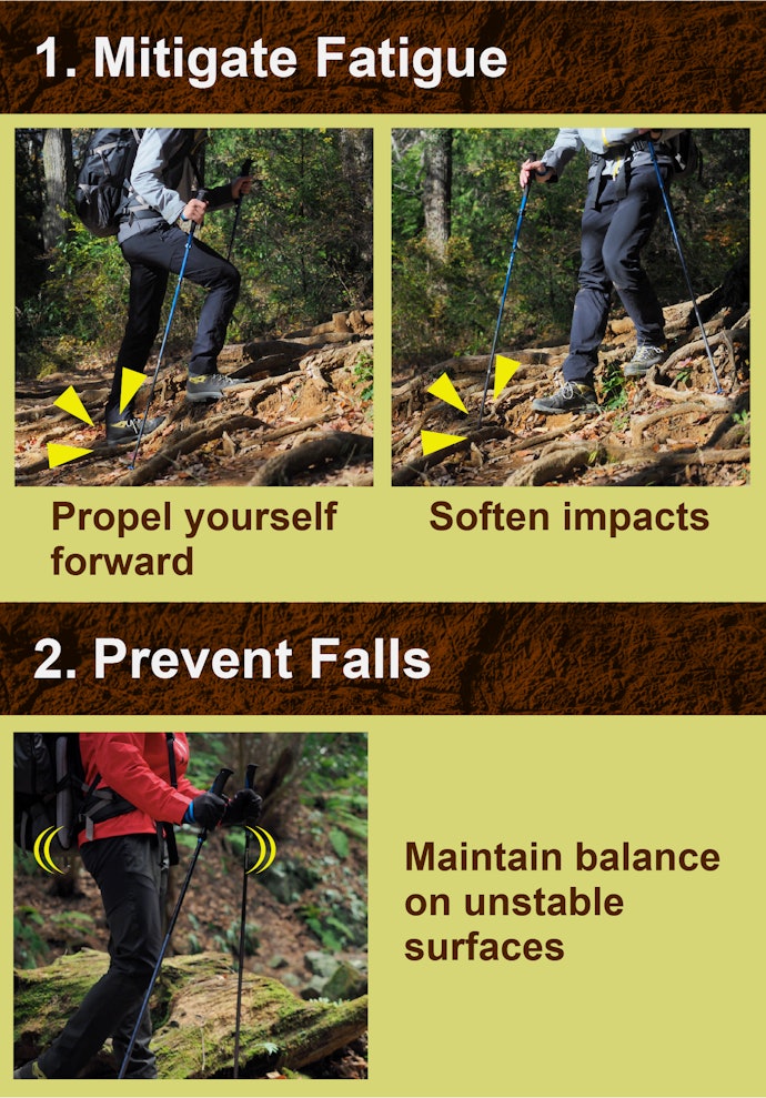 What Are the Benefits of Using Trekking Poles?