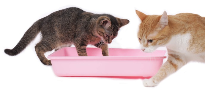 Look for Promotions and Sales to Save Money—But Don’t Skimp on Quality
