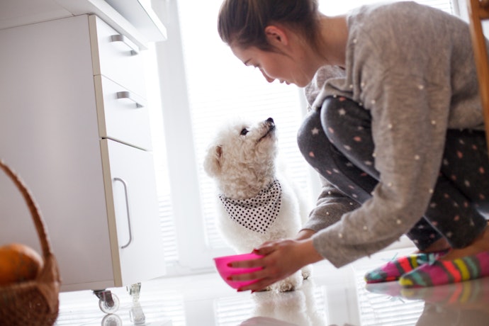 Go for Age-Appropriate Wet Dog Foods