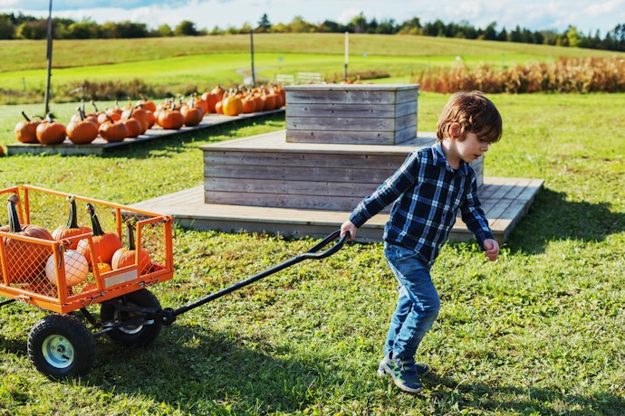 Consider Load Capacity, Size, and Cart Material