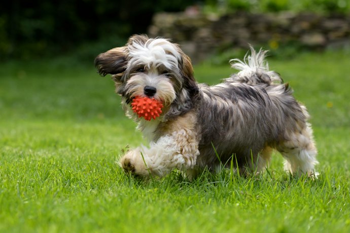 Consider the Type of Ball Used