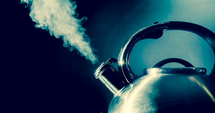 A Kettle With a Whistle Alerts You When the Water is Ready