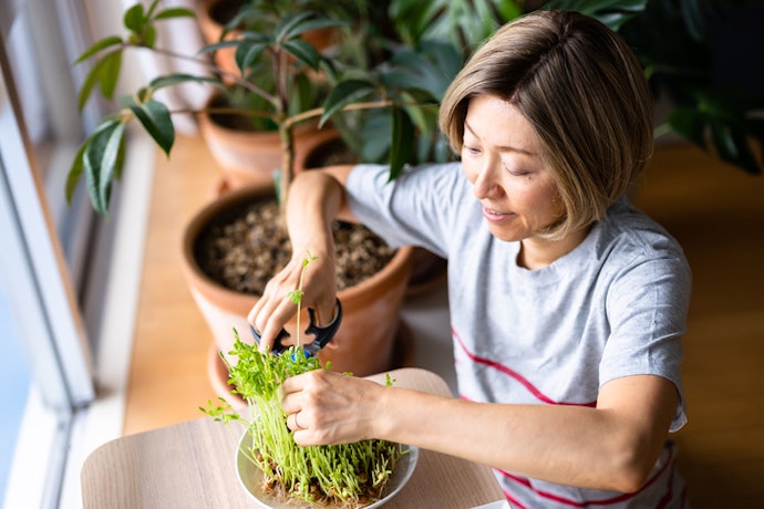 Research Plant-Based Nutrition as a Means of Disease Prevention and Mitigation