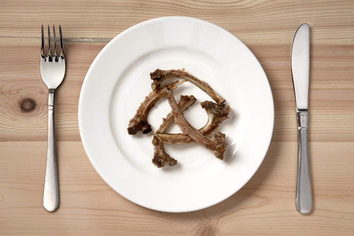 Avoid Cooked Bones