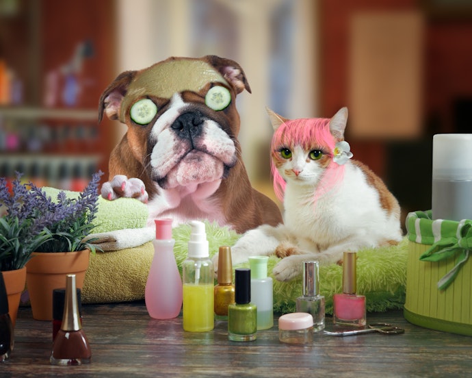 Vegan and Cruelty-Free Options Are for Animal Lovers