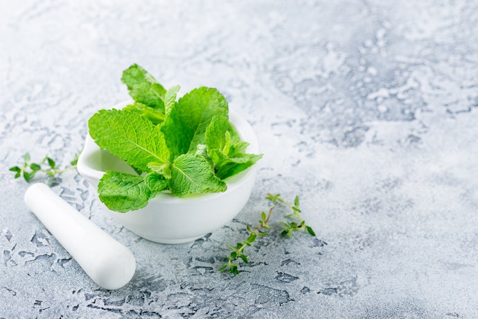 Camphor, Menthol, and Salicylic Acid Can Dry Out Your Lips More