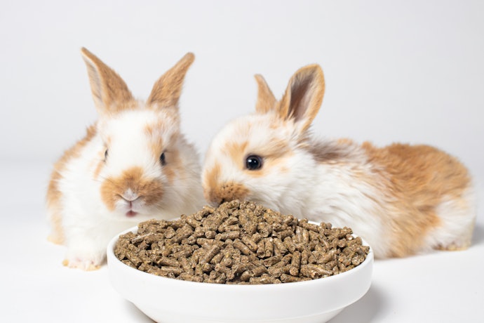 Make Sure the Pellet Composition is High in Fiber