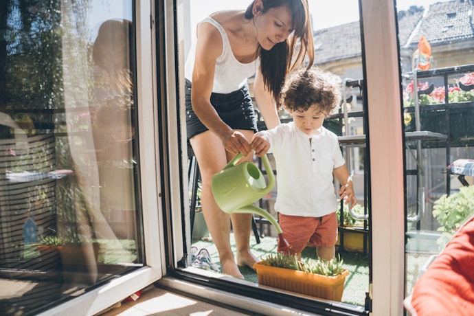 Be Sure That You Can Take Care of Your Plant Properly