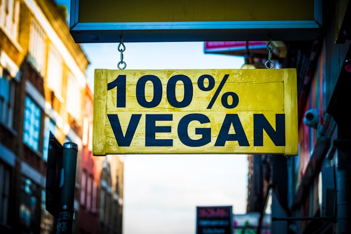 Or Choose Vegan Leather to Protect Animals