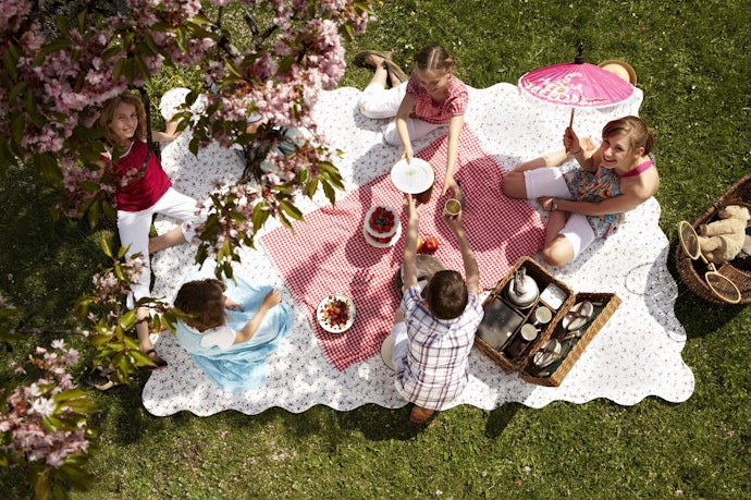 Figure Out How Many People You Picnic With