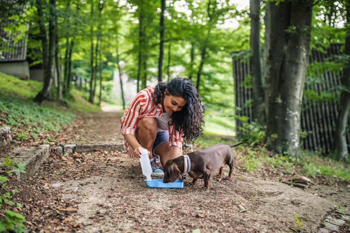 Choose the Right Capacity for Your Dog