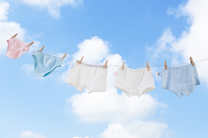 Choose Between Reusable or Disposable Panties