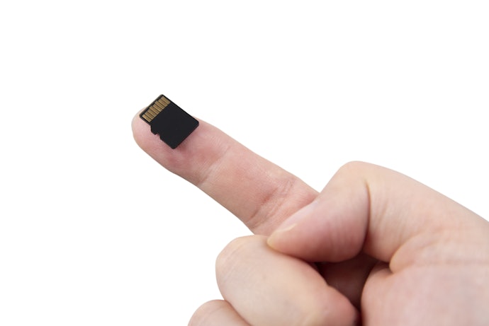 Check if the Case Holds SD Cards