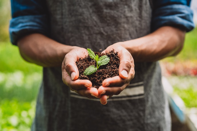 Check the Origin of the Plants