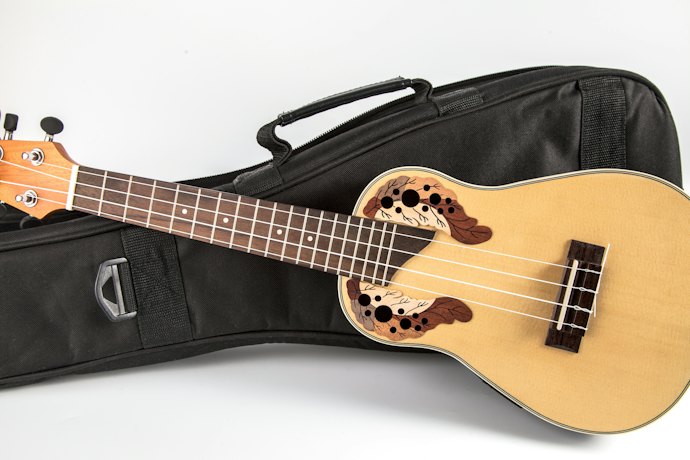 Opt for Ukuleles That Come With Extra Accessories