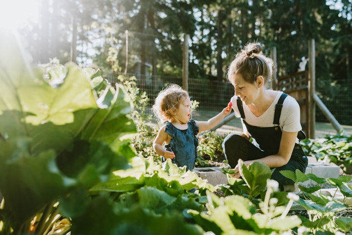 Look for Plant-Based Ingredients