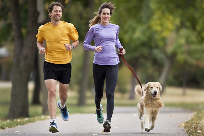 Select a Length and Thickness Based on Your Dog's Size