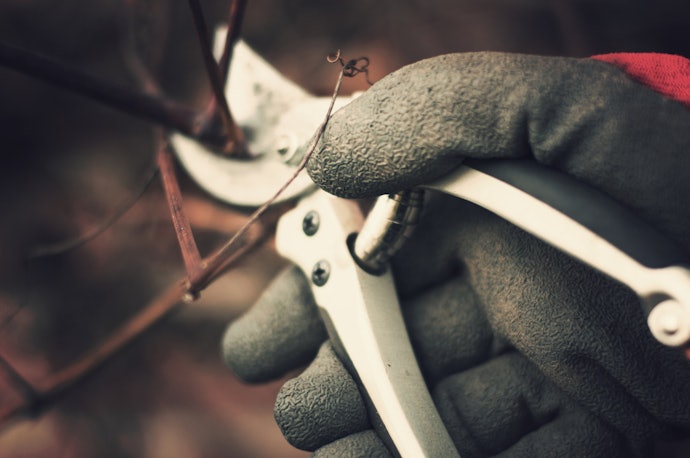 Consider the Cutting Diameter of the Shears