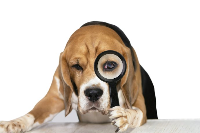 Do a Little Sleuthing of Their Interests to Find the Perfect Gift