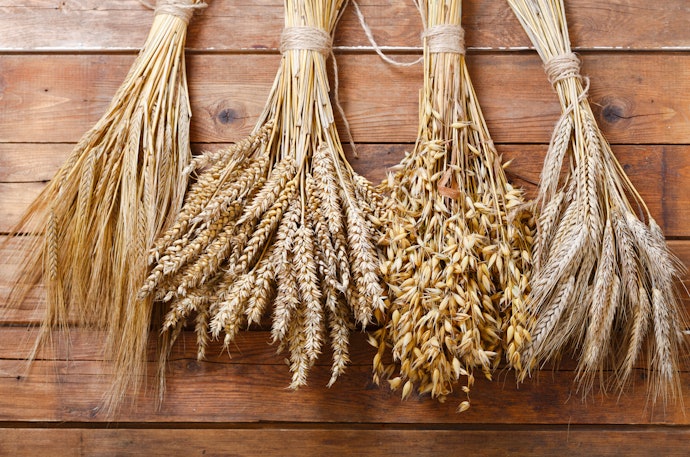 Avoid Wheat, Barley, and Rye