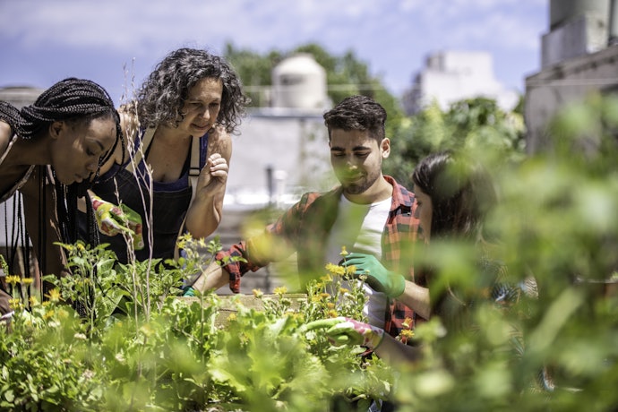 Decide What Your Gardening Focus Is
