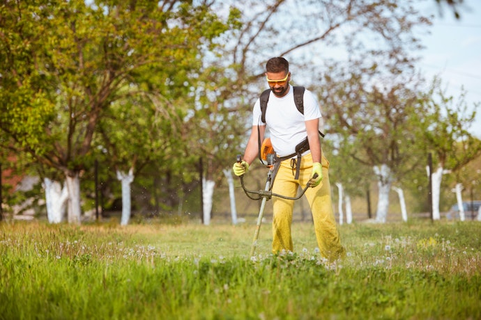 Choose Your Power Source Based on Your Yard Size