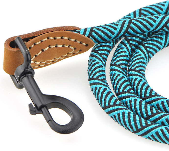 Pick a Leash Clip Style That Suits Your Dog