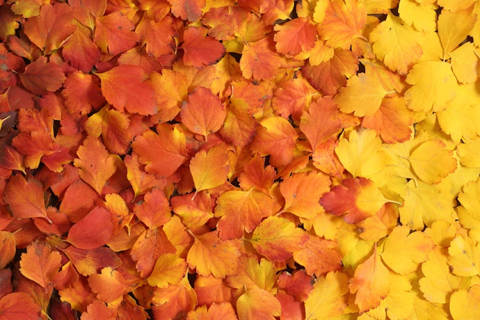 Choose a Jacket to Match the Season