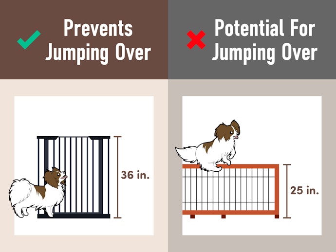 Choose a Gate That Is Over 36 Inches Tall