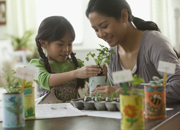 Take a Look at Indoor Gardening if Space is Limited
