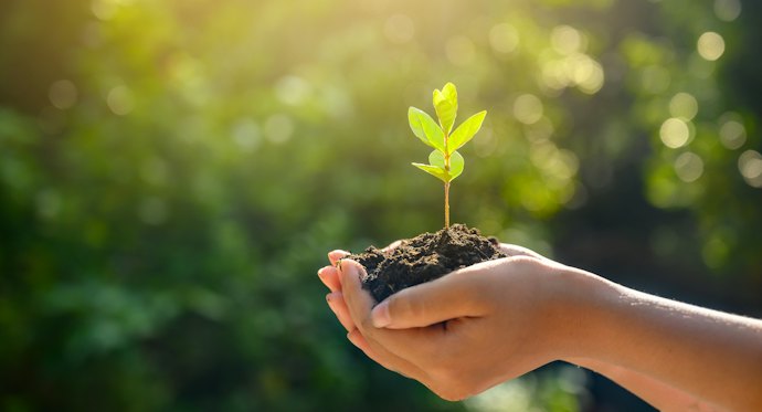 Consider Diapers With Eco-Friendly Certifications