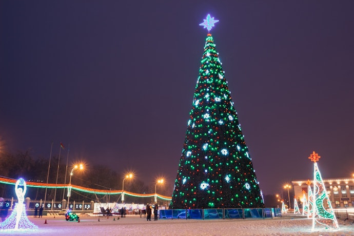 Match the Bulb Size and Shape to Your Tree
