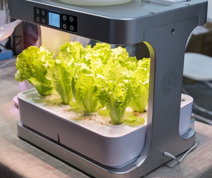 Make Things Simpler With a Smart Garden