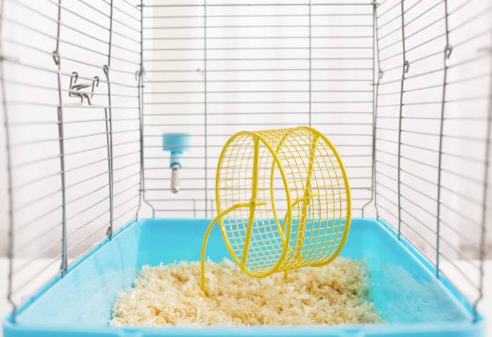 Go With a Cage That's Easy to Clean