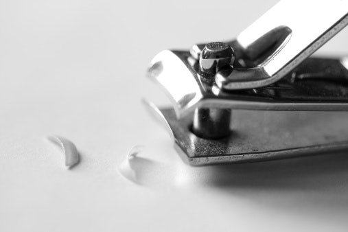 Decide Between Straight and Curved Blades