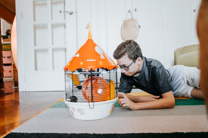 Make Sure it’s Secure and Easy to Assemble