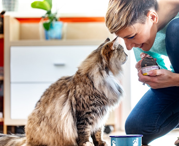 Cats are Carnivores but Can Tolerate Some Plant-Based Foods