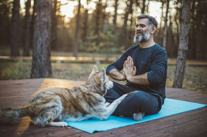 Be Aware of Difficulties With Pets