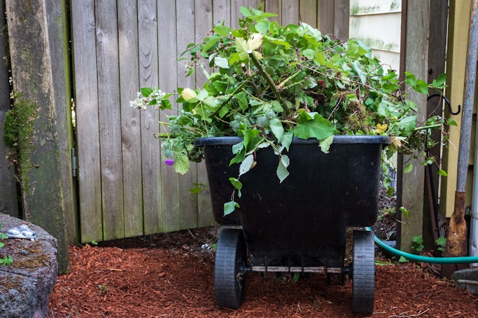Choose Between Dumping, Flatbed, and Collapsible Carts